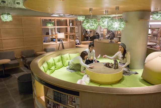 Cat Cafe Mocha Lounge (Shinjuku)
