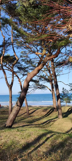 Rügen Ferienwohnung Ostseebad Binz Familie Kruggel