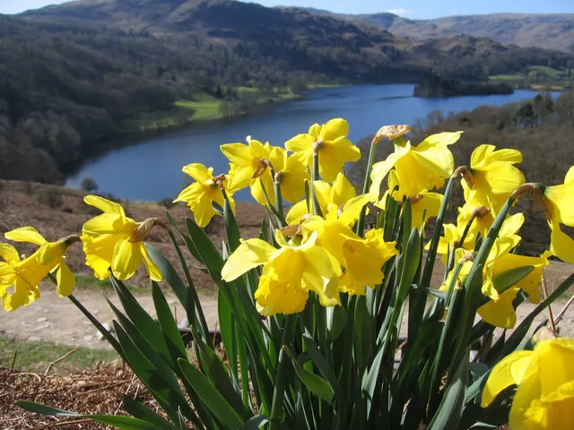 Woodview Holiday Cottages (Allt Maen & Wetherlam)