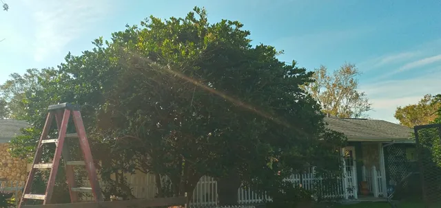 Apopka Community Center