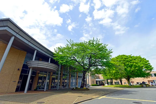 Kaichi International University