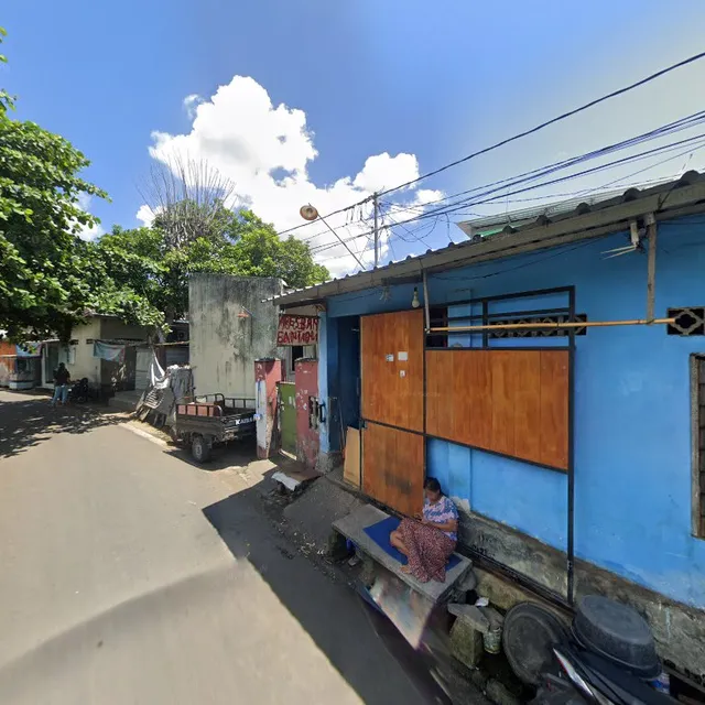 The Sunset Gecko on the Beach