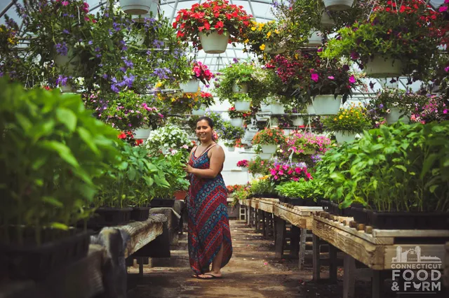 Botticello Farms LLC