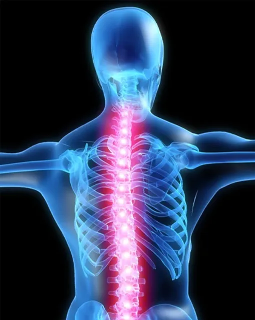 Kennedy Chiropractor Wellness Center