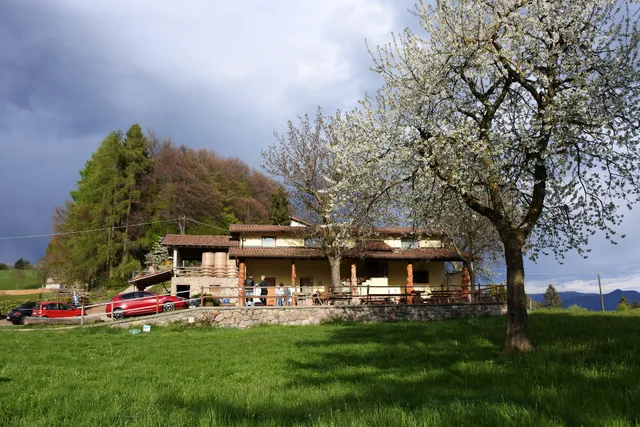 Farm Holidays 5 Firs