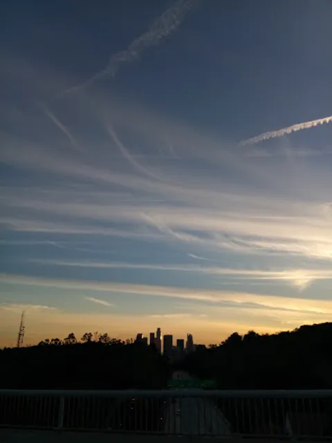 Elysian Park Aerial View Name