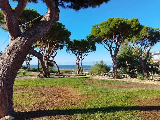 Mazagón Public Park