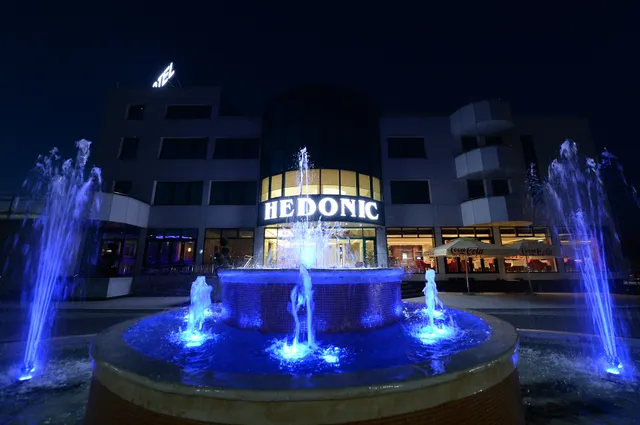 Hotel Hedonic