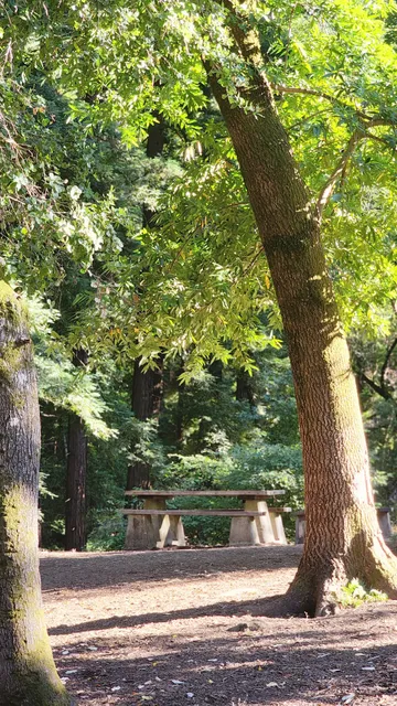 Oak Picnic Area