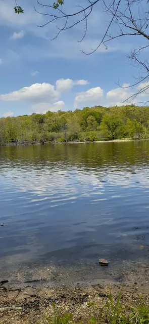 Friends of Riverside Park