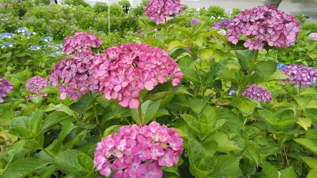 富山県こどもみらい館