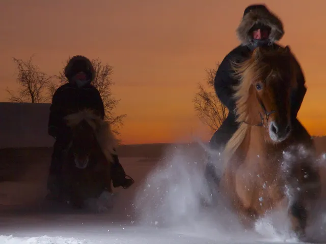 Ofelas Icelandic horses and guide service