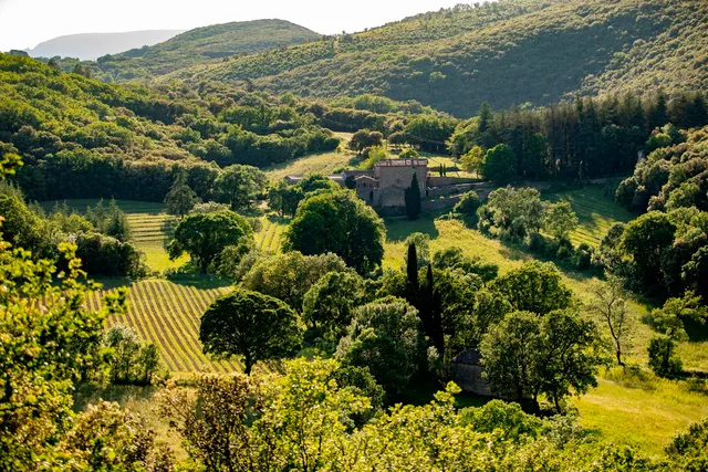 Domaine de Pouzes - Ferme en plantes aromatiques