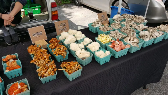 Kennebunk Farmers' Market