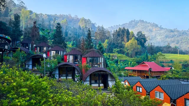 PLUM HOMESTAY ĐỒNG VĂN