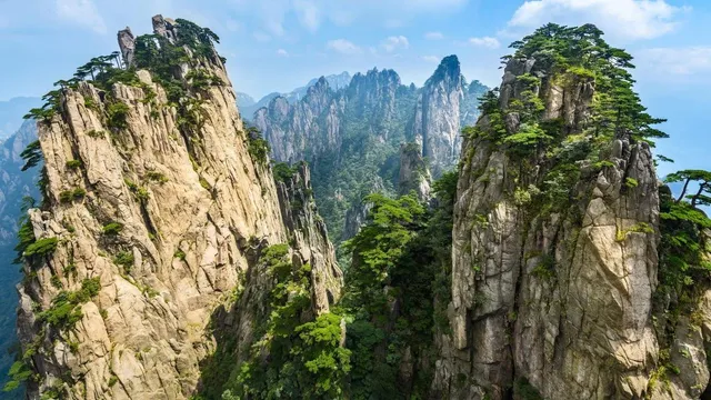 Pine Mountain Chinese Acupuncture & Herb Clinic: Ziyang Zhou, L.Ac.