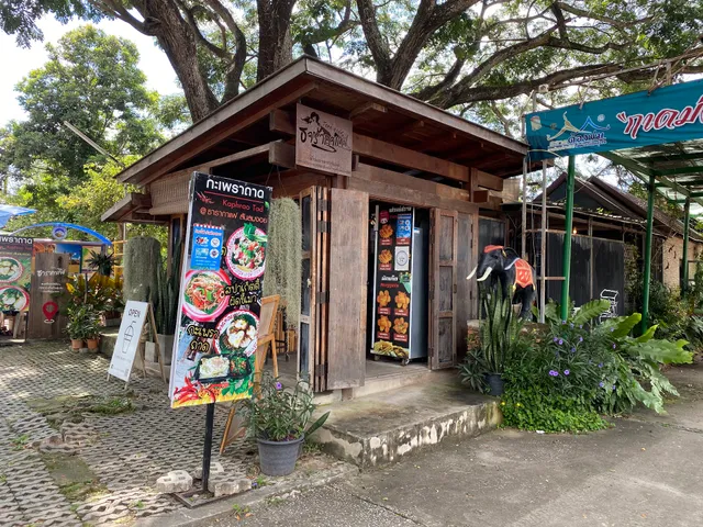 Tara Coffee Chiang Mai