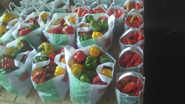 Foothills Produce Auction