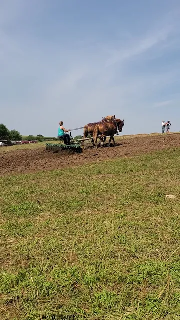 Lloyd H. Brown Farm Museum/ Brown Farm Pioneer Days