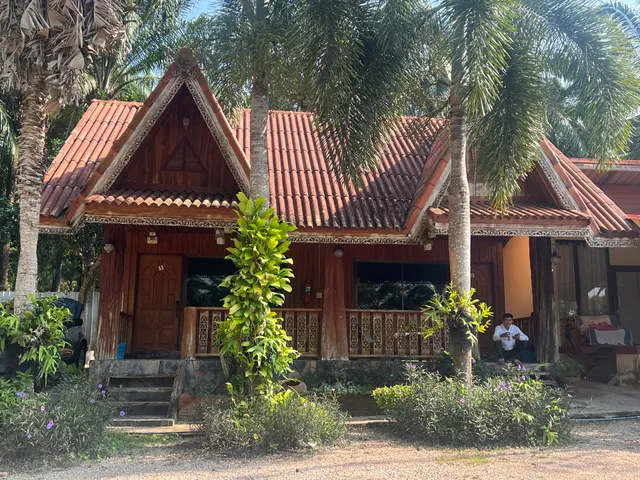 ปาล์มแถวรีสอร์ท