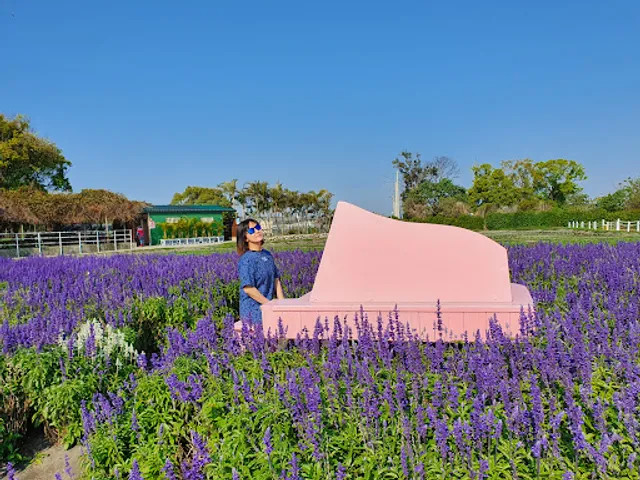 Zhongshe flower market taichung
