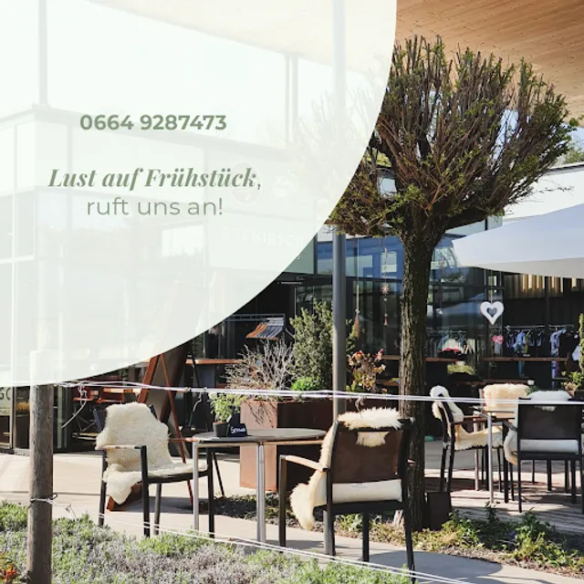 Der Hirsch bei Weintracht