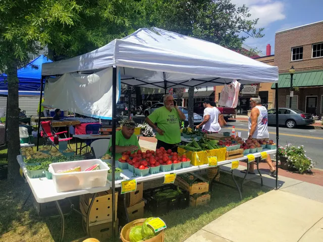 Loockerman Way Plaza