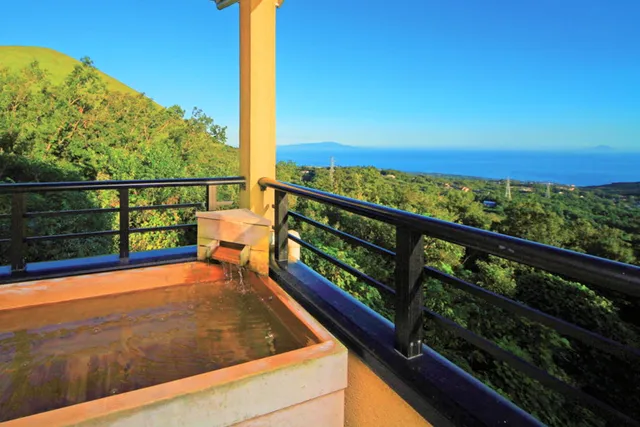 アニマーレ プレミアム