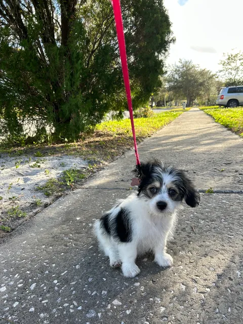 College Park Animal Clinic