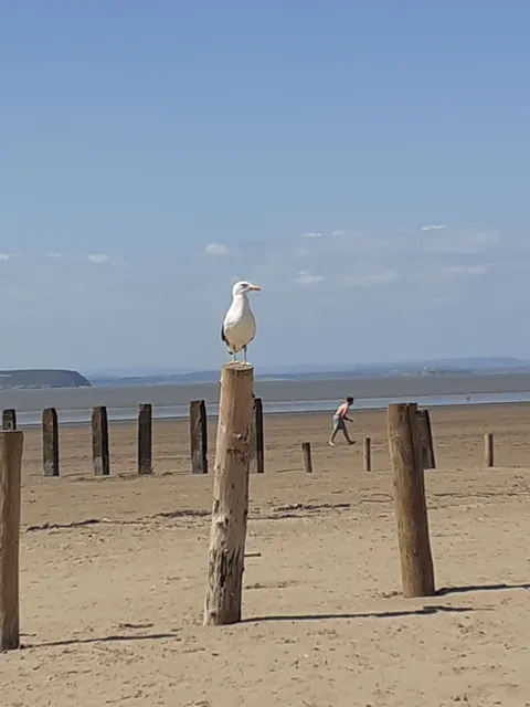 Unity Beach Reception