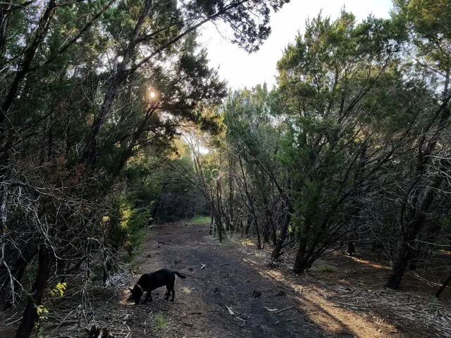 Mary Moore Searight Off Leash Trailhead