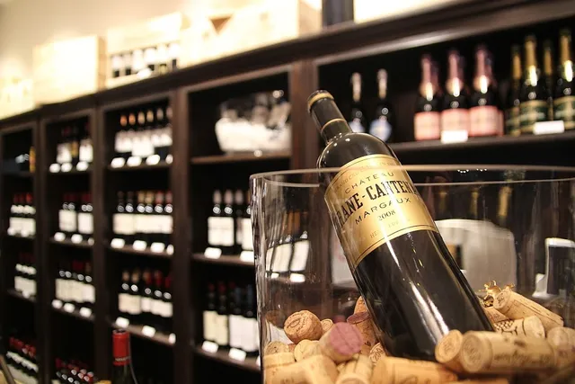 Delice Dorcol - Francuska Vina i Gastronomija