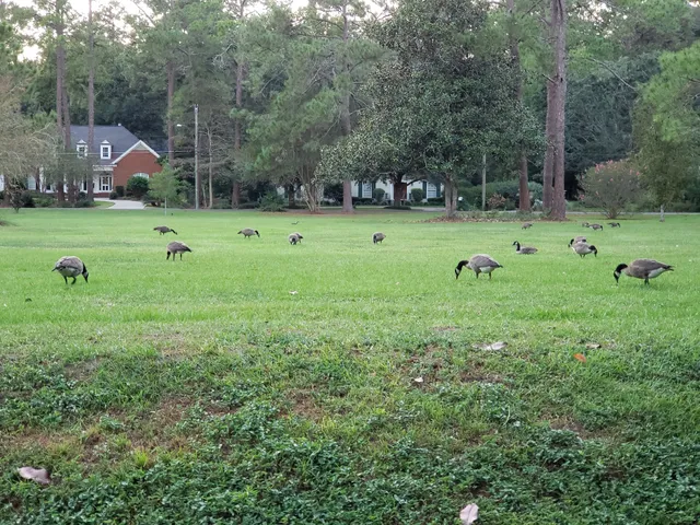 Harriman Circle Park