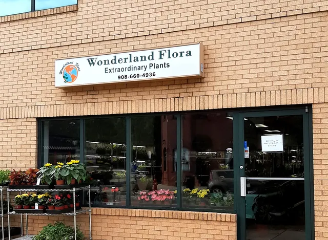 Wonderland Flora Extraordinary Plants