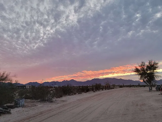 Old Desert Bull RV Park