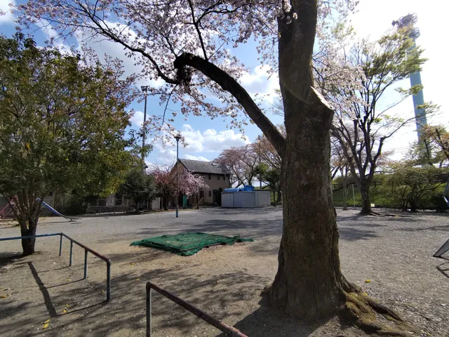 Sakura Park