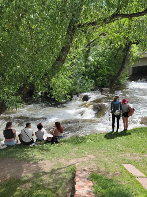 Boulder Creek Festival