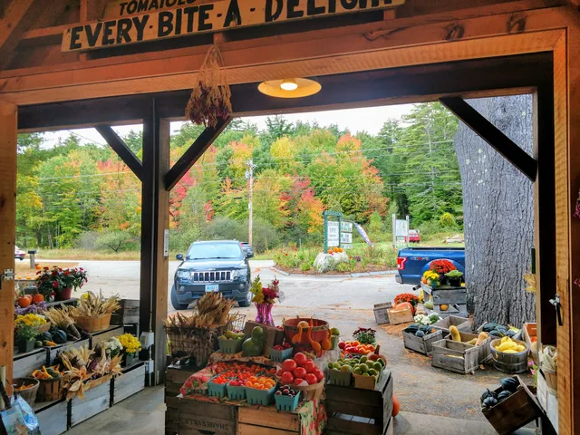 Picnic Rock Farms LLC