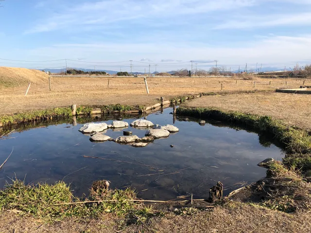 アクアプラザ遊水池