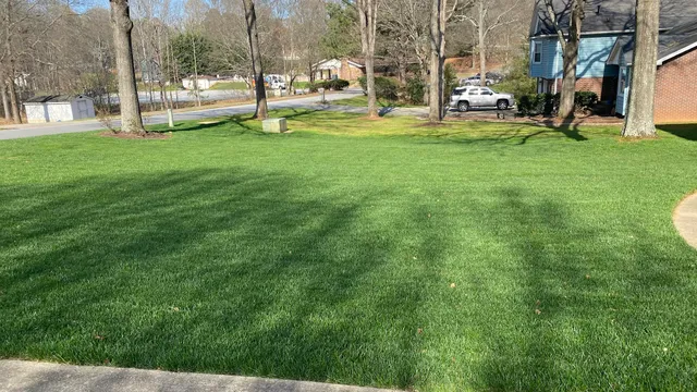 Carolina Fresh Farms