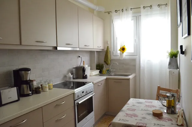 Blue Ark Athenian Nest