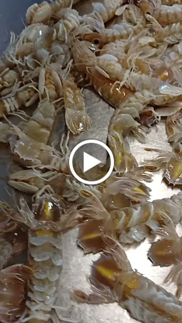 Ristorante da Vincenzo | Numana