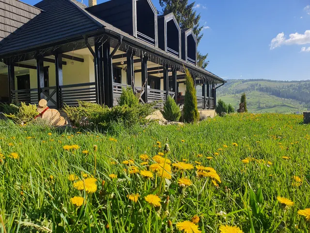 Pension Maria Bucovina