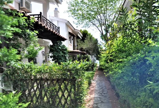 Zennova #23 Nikiti Family Green Nest