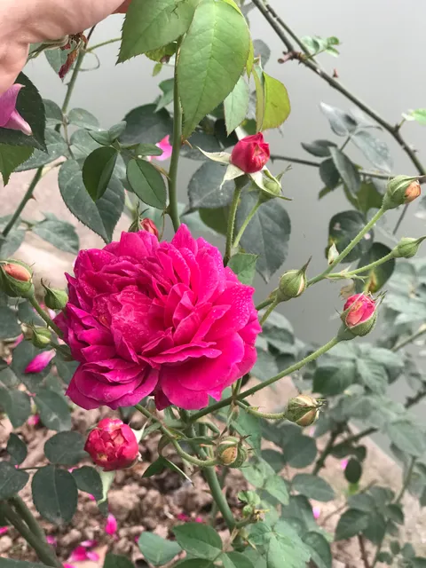 Nhà Hàng Xuân Tùng