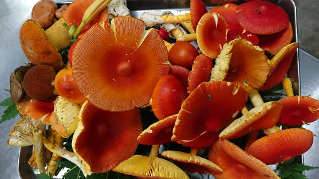 菜庭料理・尚起