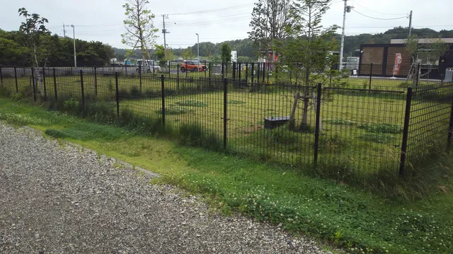 Olive no Mori dog run (Mutsuzawa)