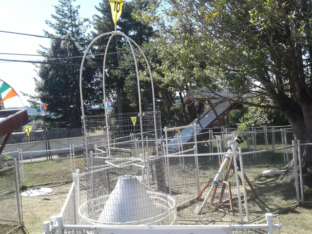 Amaze Zing Outdoor Game