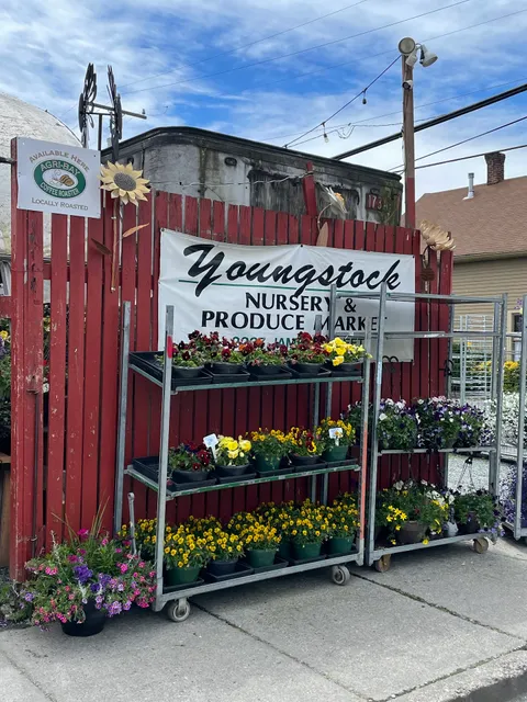 Youngstock's Nursery & Produce