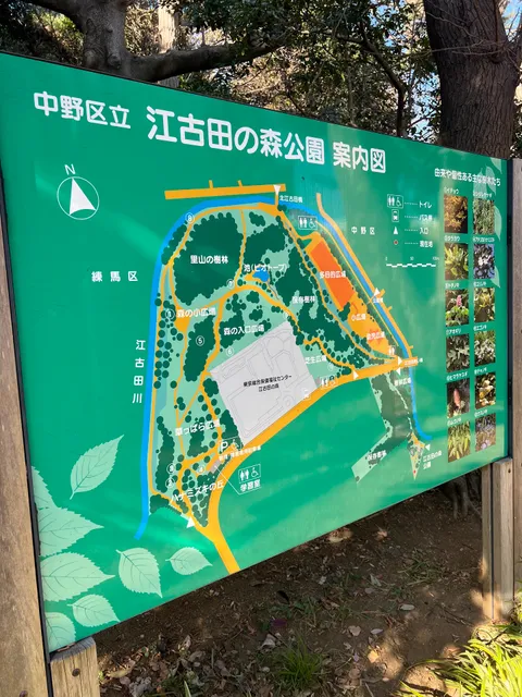 江古田の森公園 里山の樹林